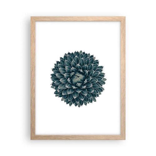 Plakat w ramie jasny dąb - Gwiazda pustyni - 30x40 cm