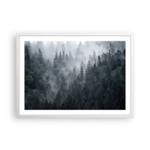 Plakat w białej ramie - Leśny świt - 70x50 cm