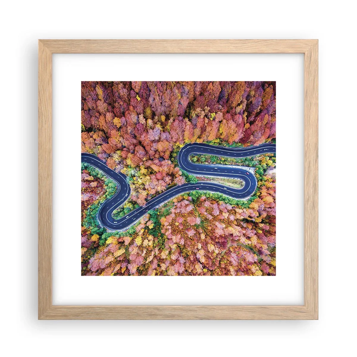 Plakat w ramie jasny dąb - Krętą drogą poprzez las - 30x30 cm