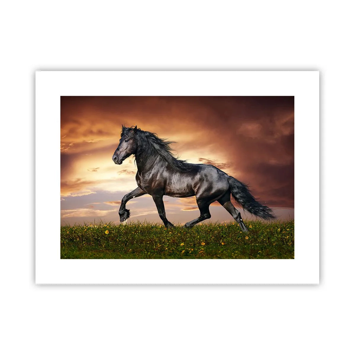 Plakat - Czarny książę - 40x30 cm