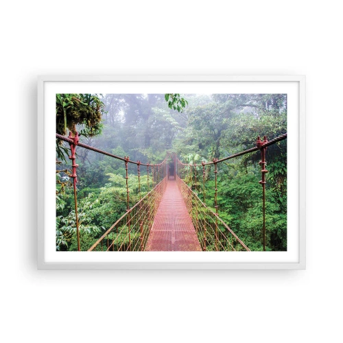 Plakat w białej ramie - Zawieszony nad koronami - 70x50 cm