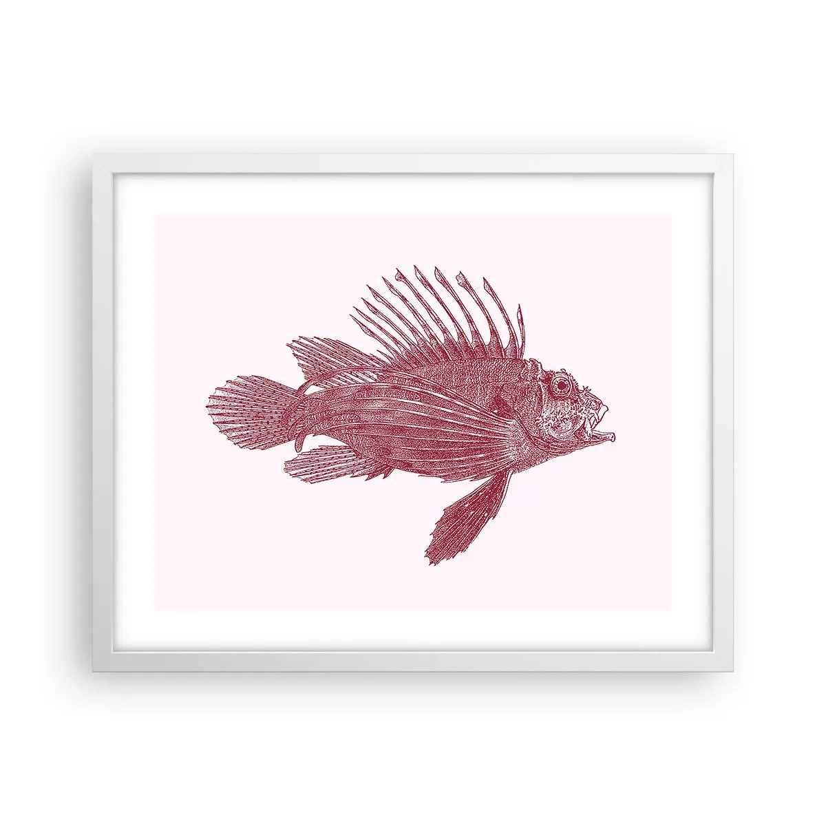 Plakat w białej ramie - Mieszkanka egzotycznych wód - 50x40 cm