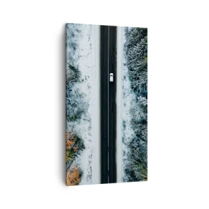 Obraz na płótnie - Przeciąć zimowy las - 45x80 cm