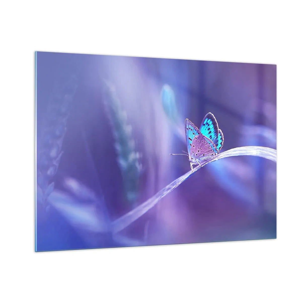 Obraz na szkle - Motyl na tle fioletowego światła - 100x70cm - Klejnot natury - Nowoczesna dekoracja ścienna do salonu, kuchni i sypialni ARTTOR