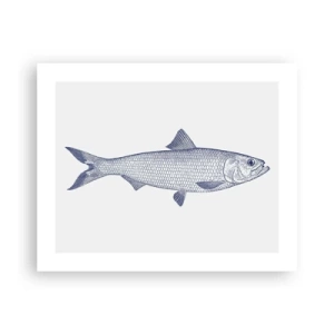 Plakat - Pozdrowienia z północnych mórz - 50x40 cm