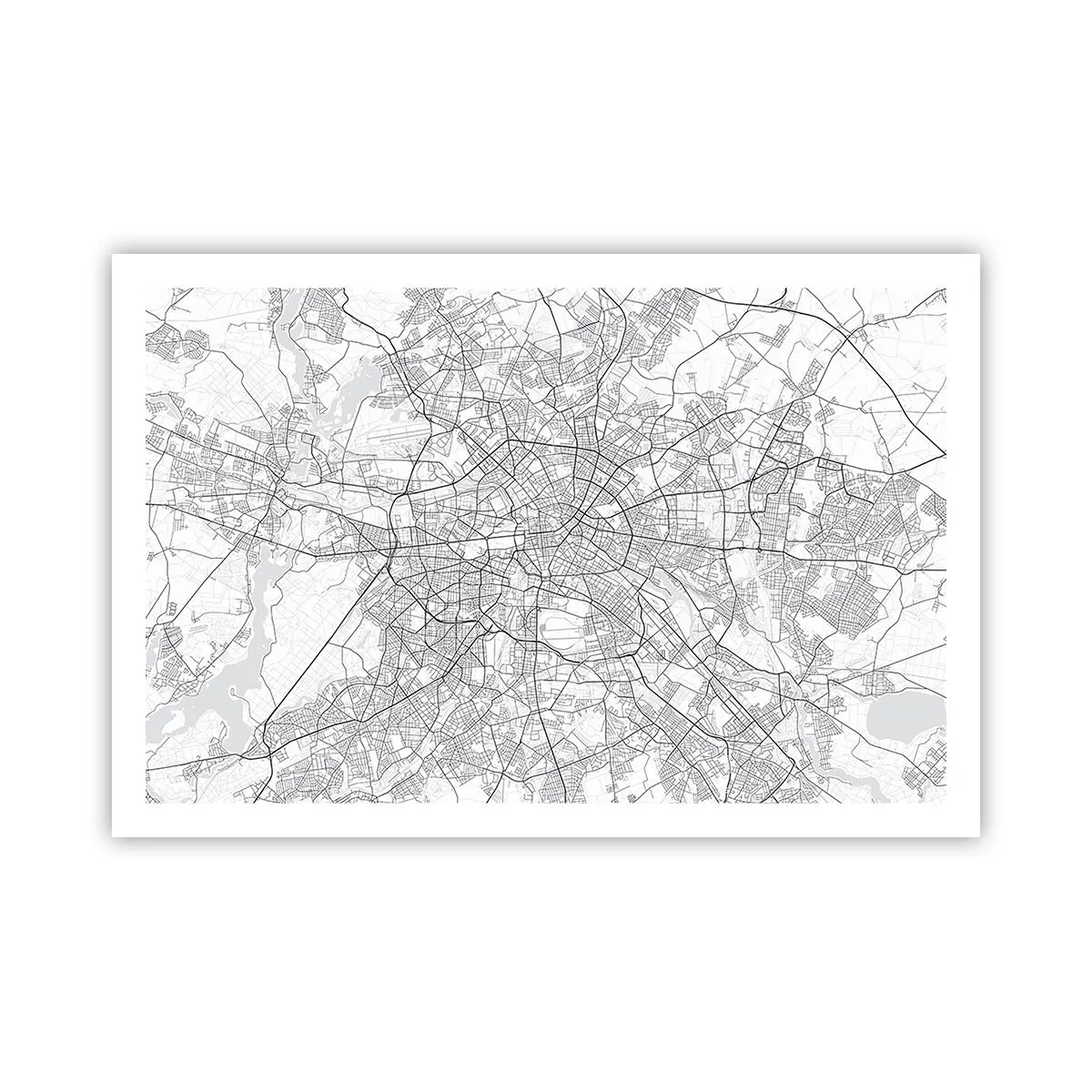 Plakat - Kwiat Berlina - 91x61 cm