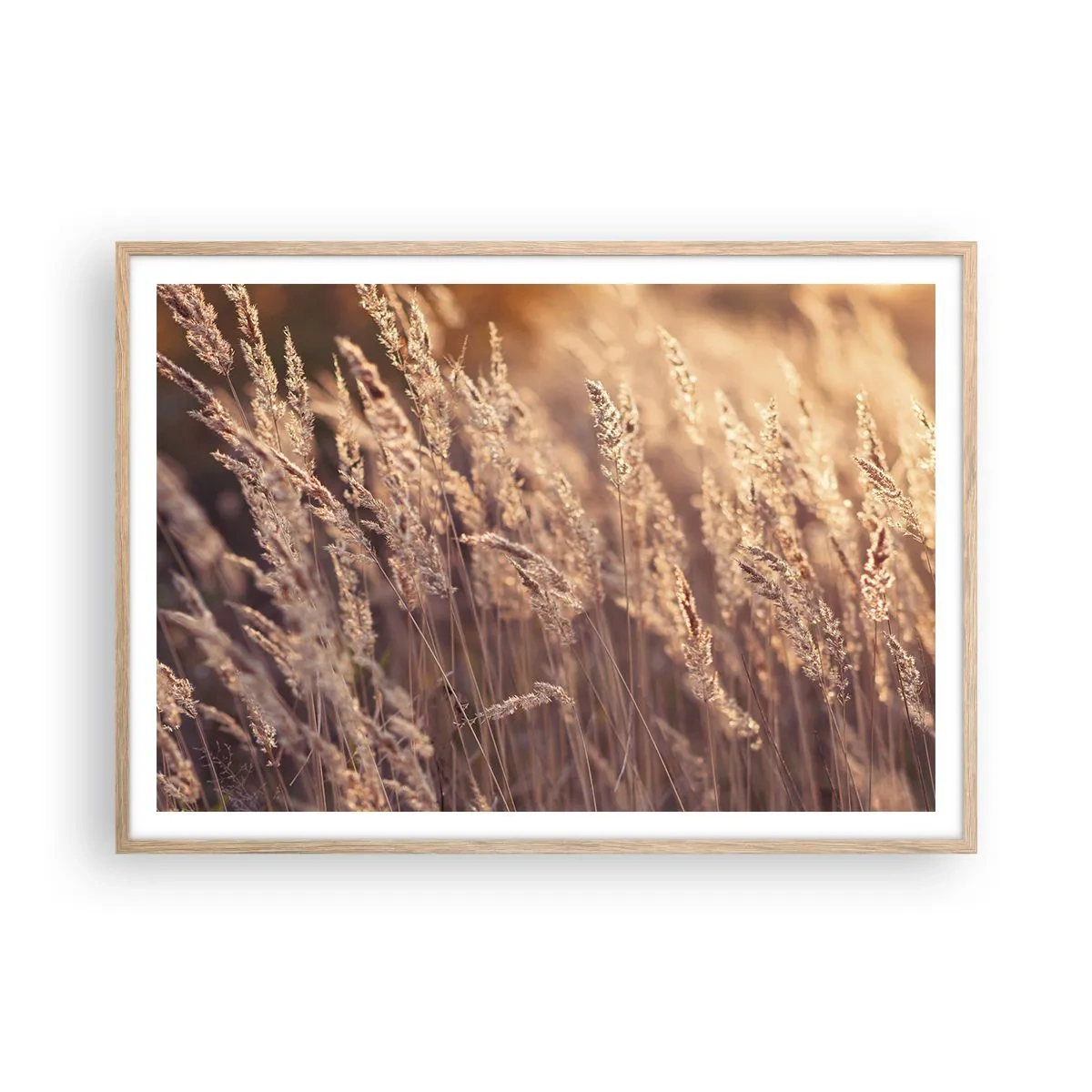 Plakat w ramie jasny dąb - Gotowe na powitanie jesieni - 100x70 cm