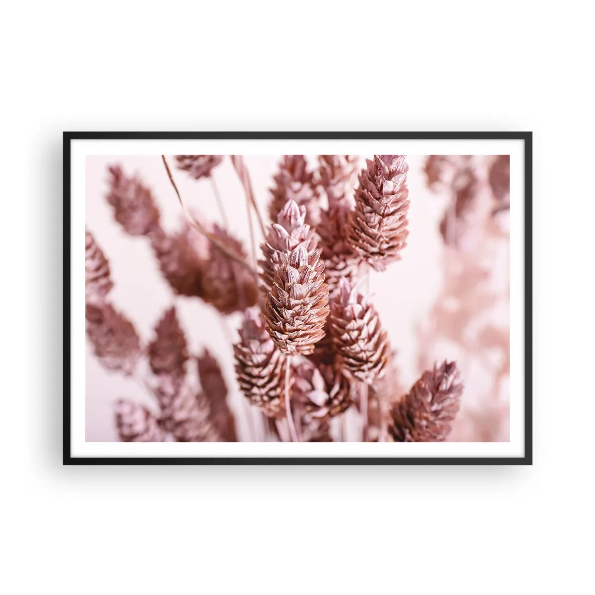 Plakat w czarnej ramie - Zbliżenie na delikatne różowe kłosy traw ozdobnych - 100x70cm - Z pozoru niepozorne - Nowoczesna dekoracja ścienna do salonu i sypialni ARTTOR
