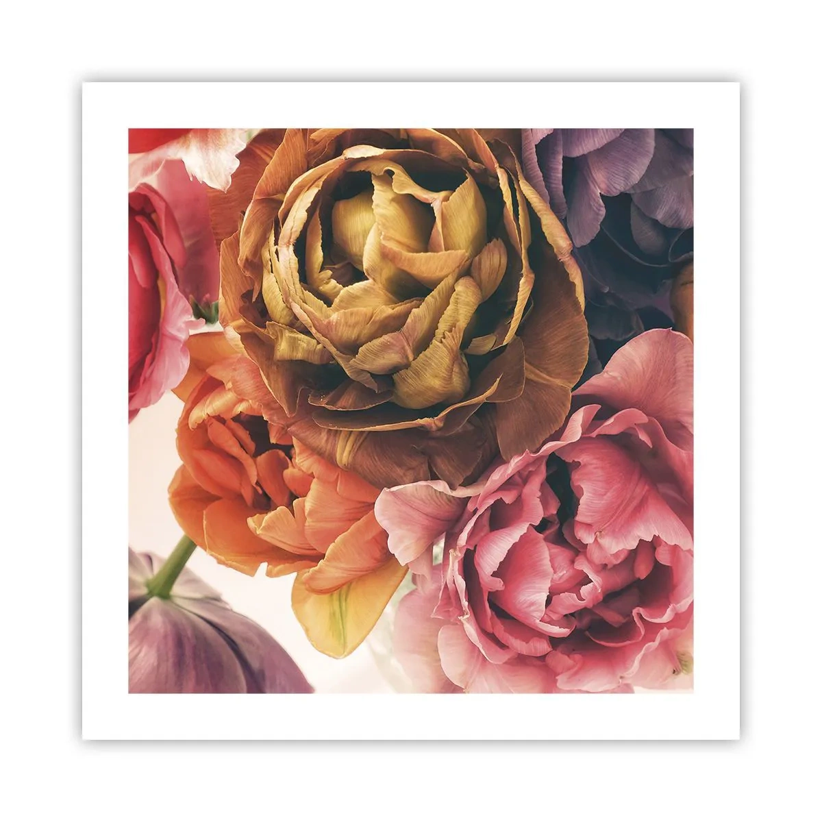 Plakat - Święto życia - 50x50 cm