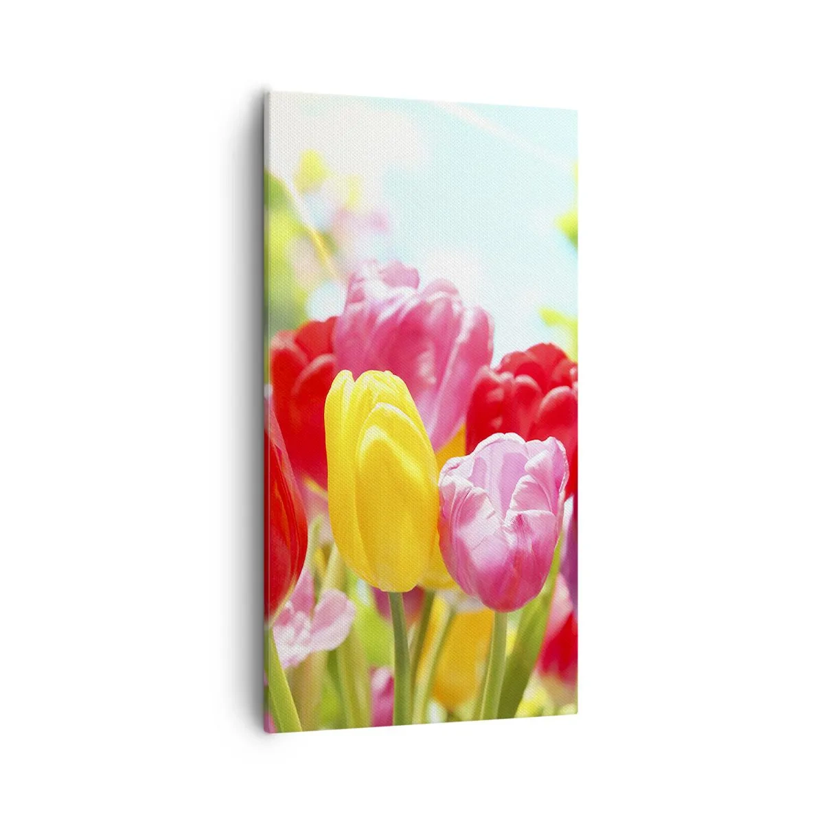 Obraz na płótnie - To my, kolory maja! - 55x100 cm