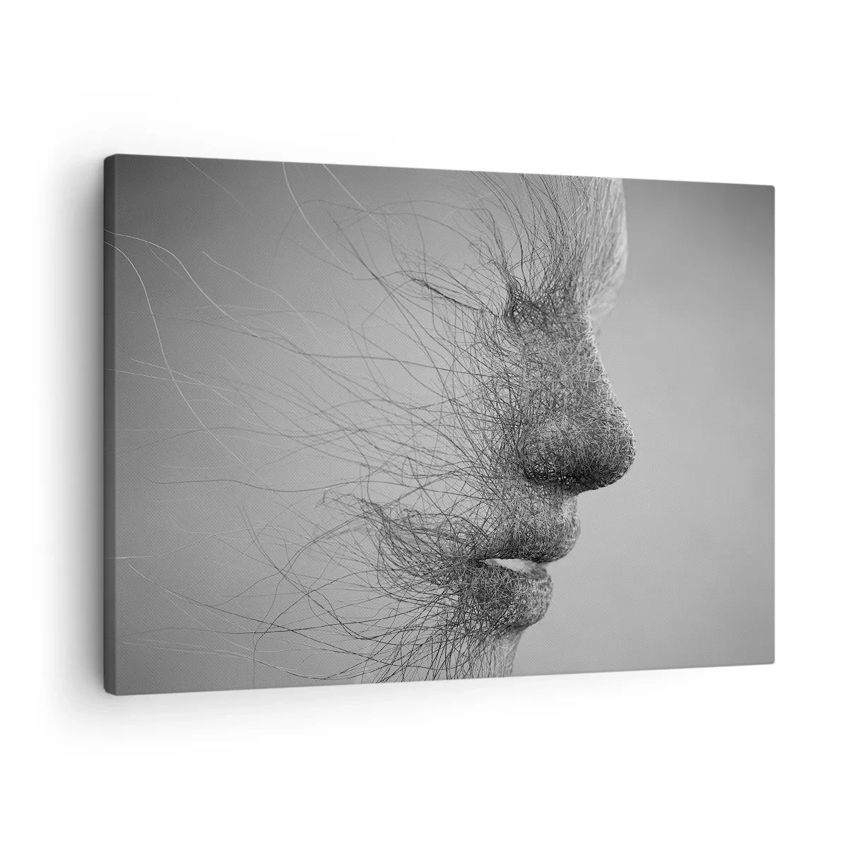 Obraz na płótnie - Artystyczny profil twarzy utworzony z delikatnych linii - 70x50cm - Duch wiatru - Nowoczesna dekoracja ścienna do salonu i sypialni ARTTOR