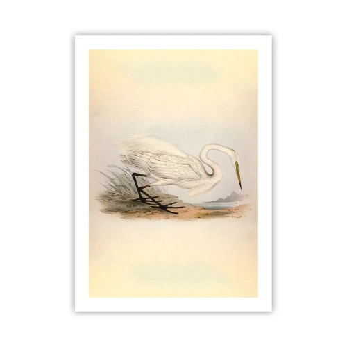 Plakat - Ilustracja czapli na tle pastelowego krajobrazu - 50x70cm - Pani na szuwarach - Nowoczesna dekoracja ścienna do salonu, kuchni i sypialni ARTTOR