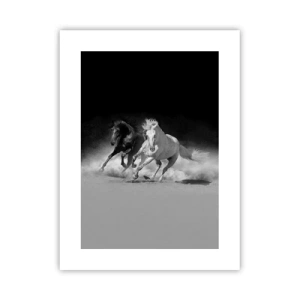 Plakat - Galop wolności - 30x40 cm