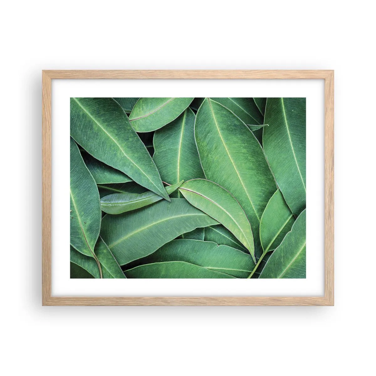 Plakat w ramie jasny dąb - Soczyste i świeże - 50x40 cm