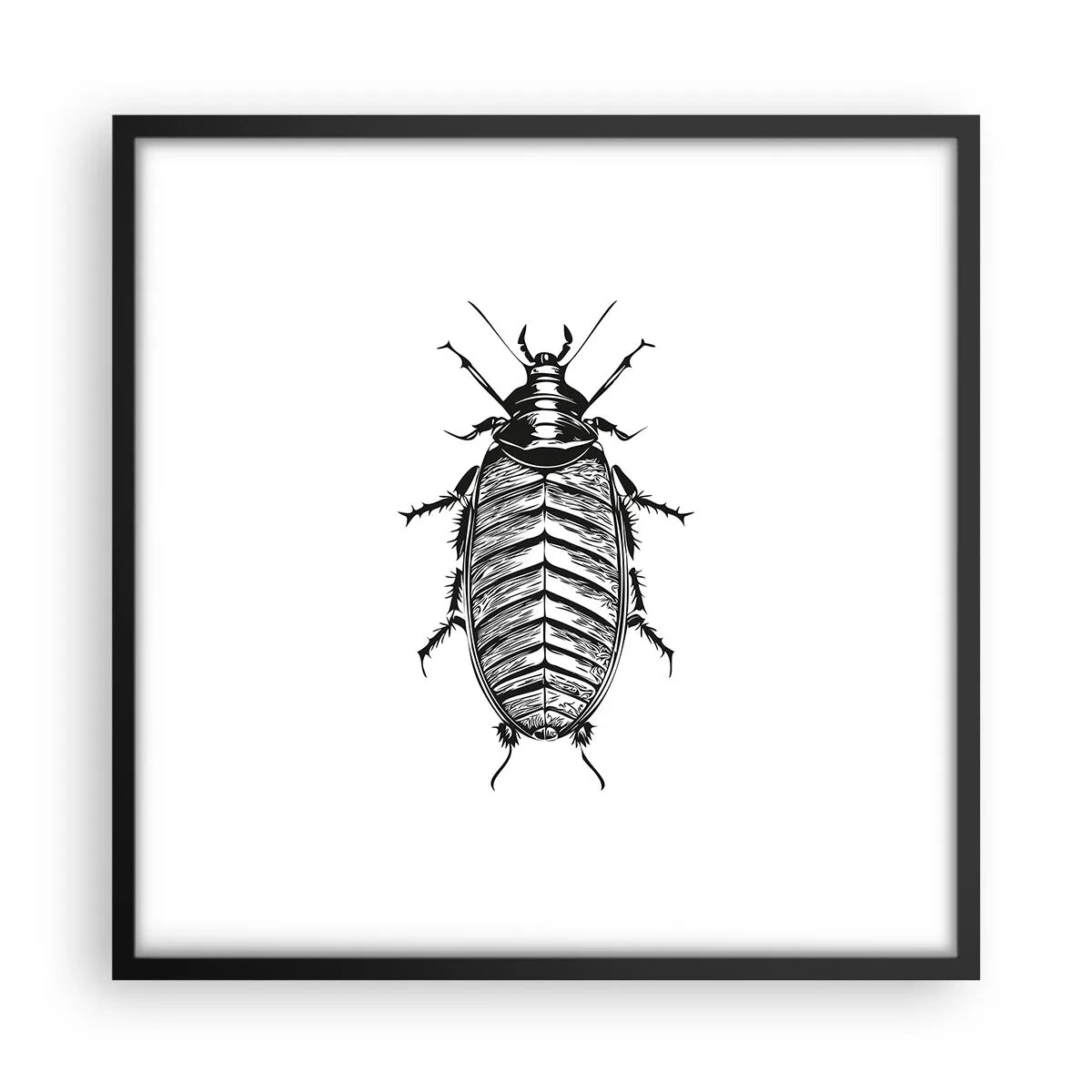 Plakat w czarnej ramie - Co za okaz! - 50x50 cm