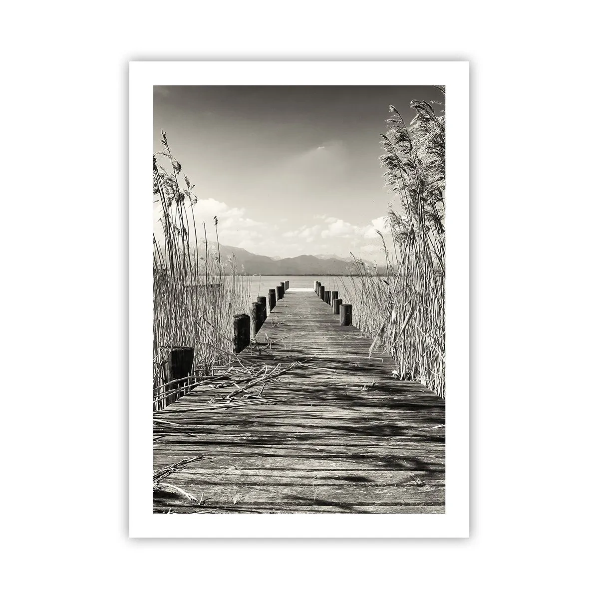 Plakat - Drewniany pomost wśród trzcin nad jeziorem w sepiowym tonie - 50x70cm - W zaciszu traw - Nowoczesna dekoracja ścienna do salonu, kuchni i sypialni ARTTOR