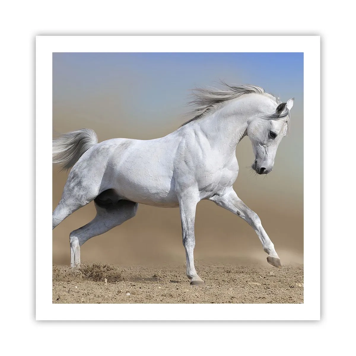 Plakat - Najpiękniejsza arabska baśń - 60x60 cm