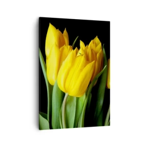 Obraz na płótnie - Bukiet żółtych tulipanów na czarnym tle - 50x70cm - Powstały z czystego słońca - Nowoczesna dekoracja ścienna do salonu, kuchni i sypialni ARTTOR
