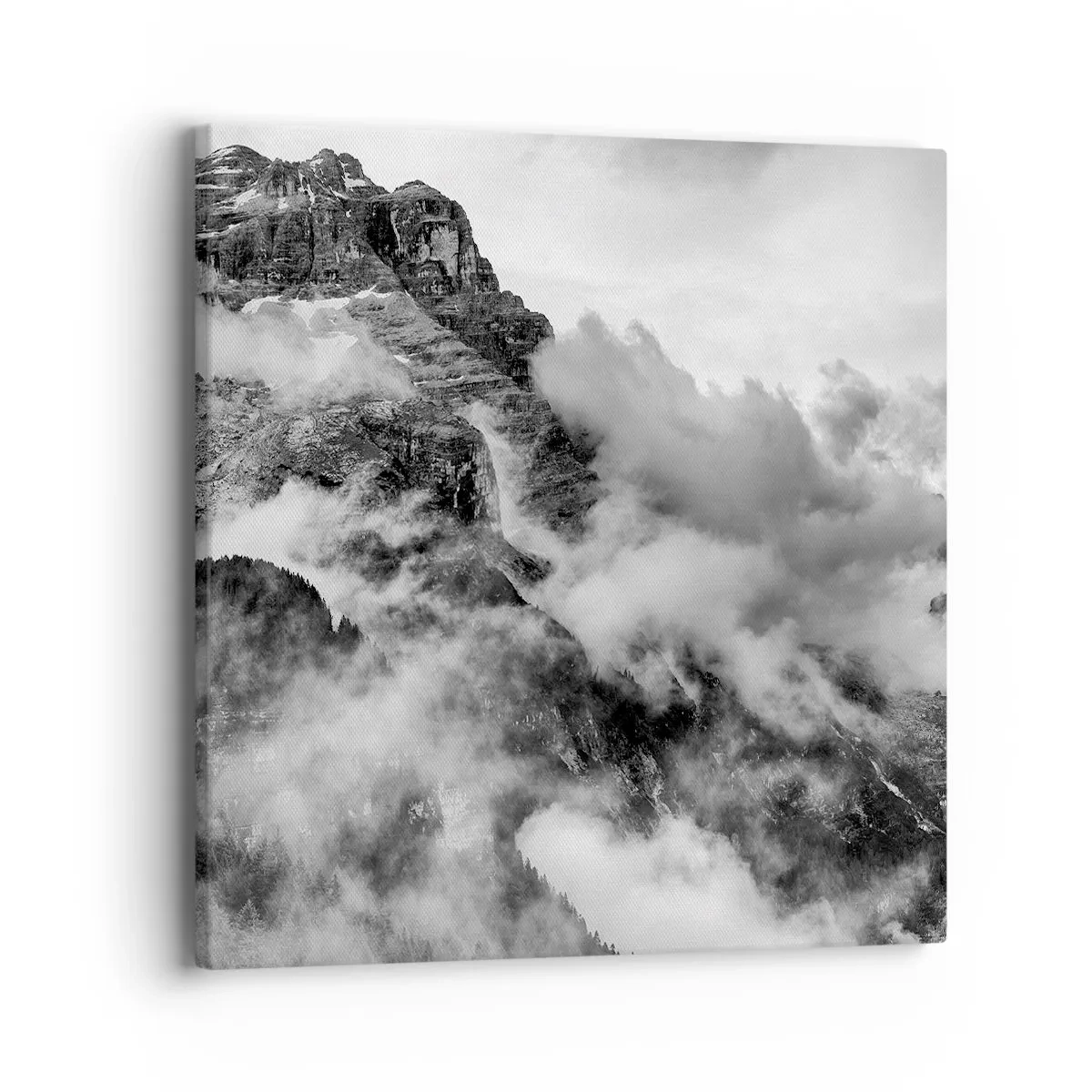 Obraz na płótnie - Piękne i okrutne - 40x40 cm