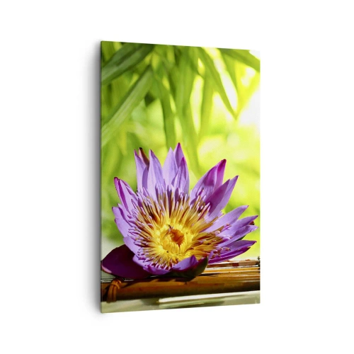 Obraz na płótnie - Purpurowy kwiat lotosu na tle zielonych liści bambusa - 80x120cm - W azjatyckim słońcu - Nowoczesna dekoracja ścienna do salonu i sypialni ARTTOR