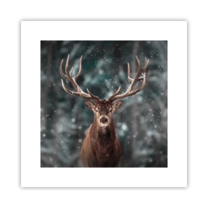 Plakat - Król lasu ukoronowany - 30x30 cm