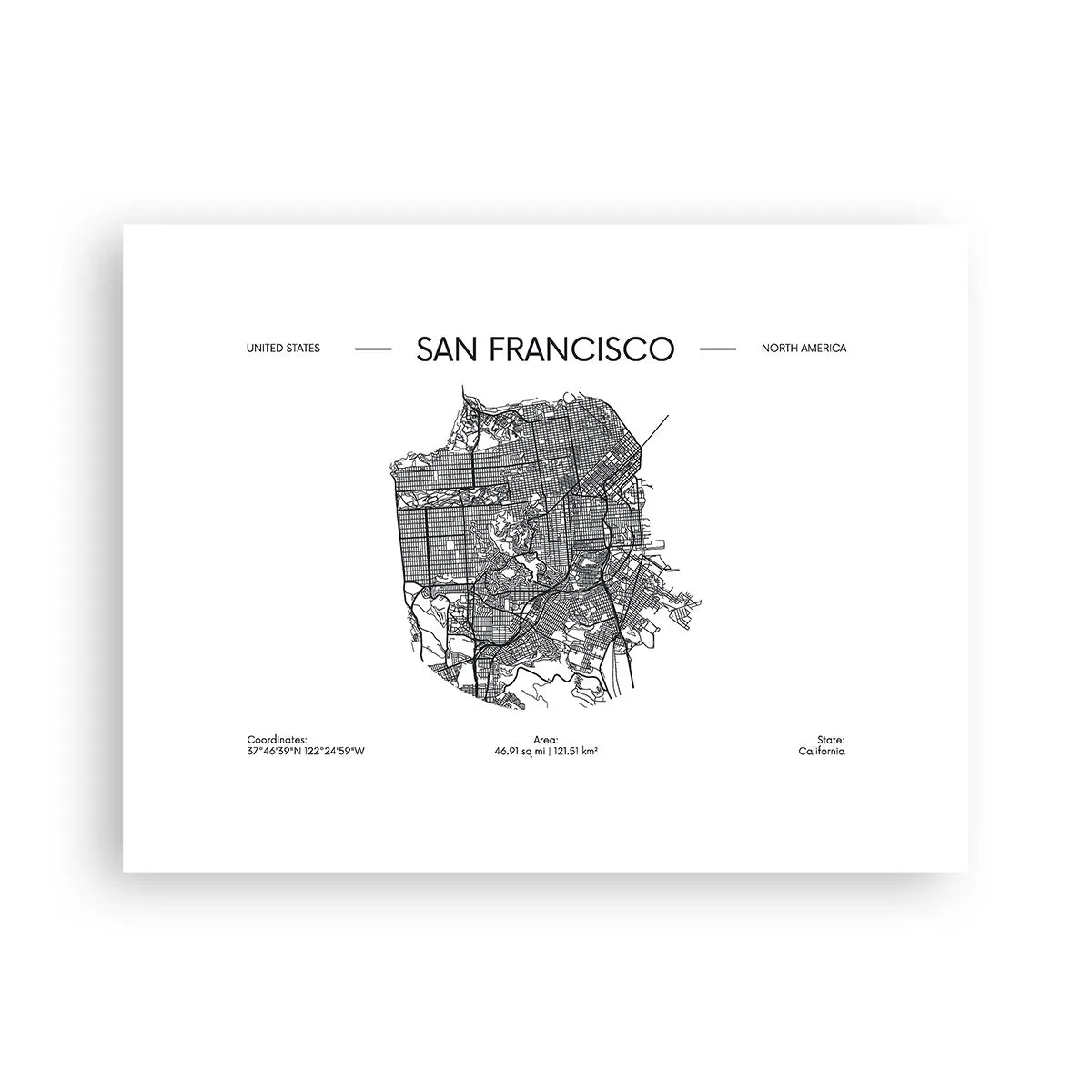 Plakat - Anatomia San Francisco - 40x30 cm