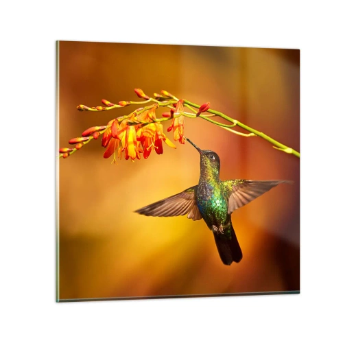 Obraz na szkle - Posłaniec światła wg Majów - 40x40 cm