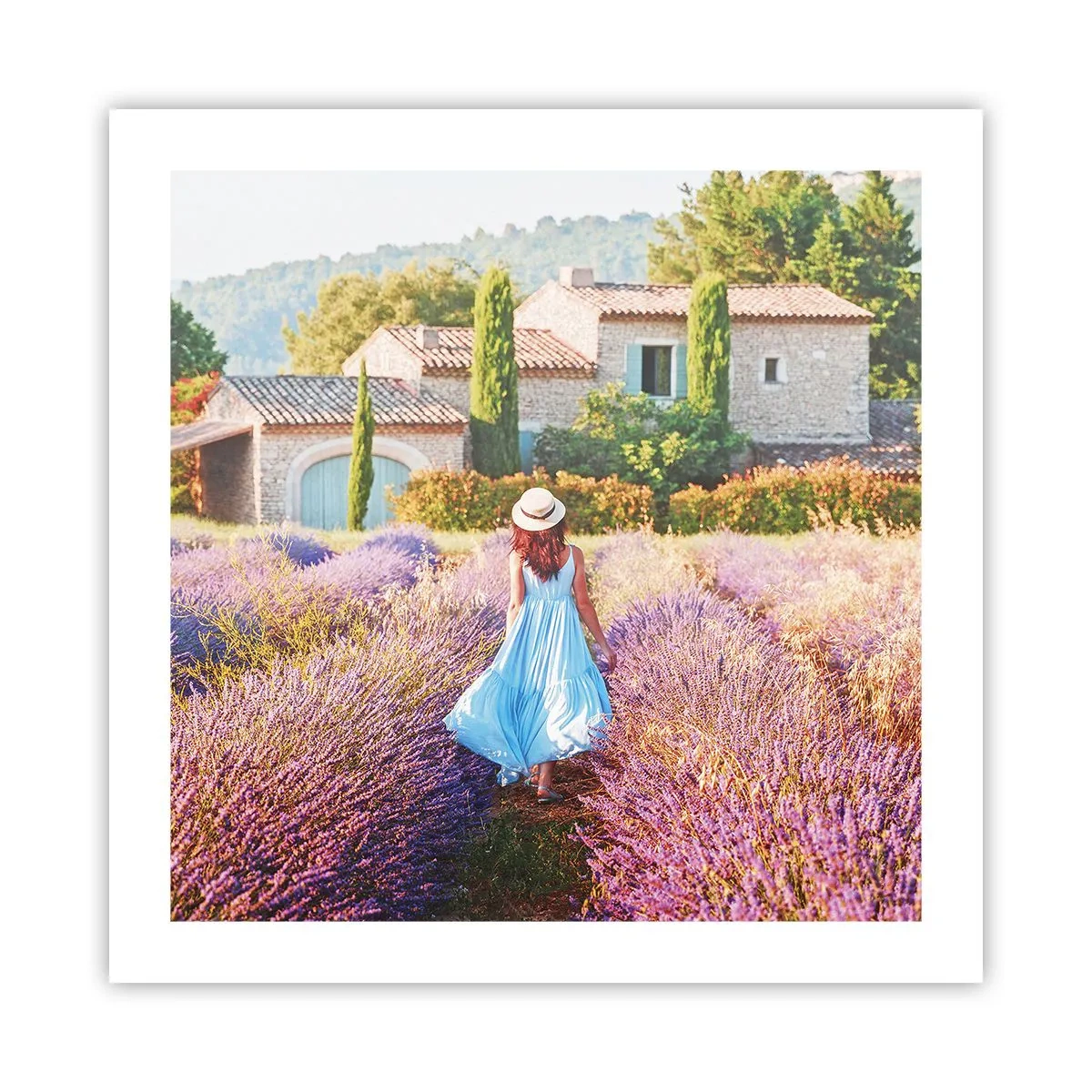 Plakat - Lawendowa dziewczyna - 50x50 cm