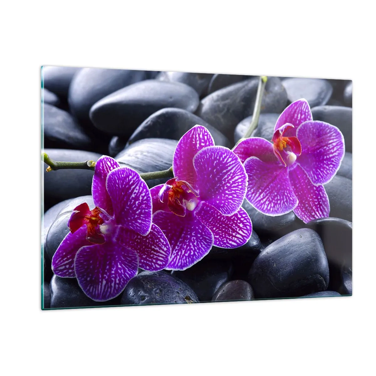 Obraz na szkle - Fioletowe orchidee na tle gładkich kamieni - 120x80cm - Kamienie pojaśniały z zachwytu - Nowoczesna dekoracja ścienna do salonu, kuchni i sypialni ARTTOR
