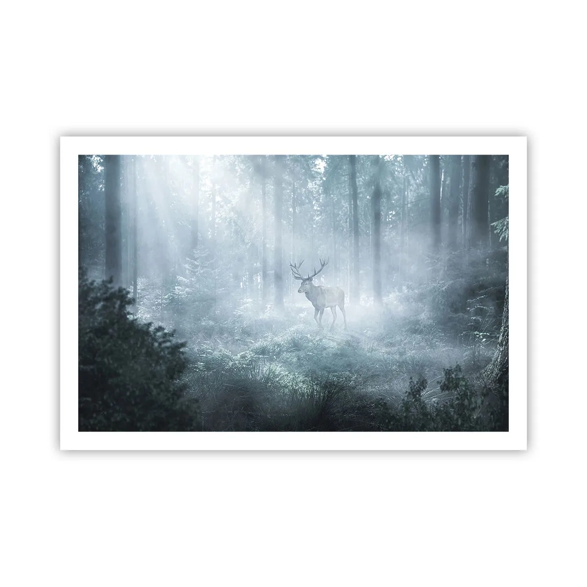 Plakat - Poranny obchód włości - 91x61 cm