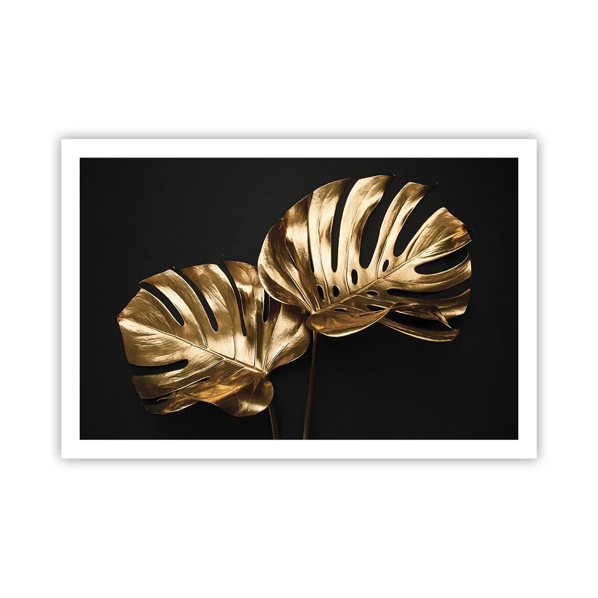 Plakat - Skarby natury - 91x61 cm