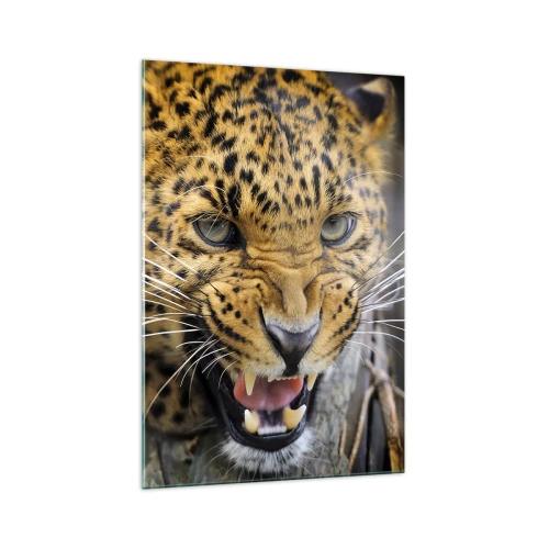 Obraz na szkle - Zbliżenie na groźnego lamparta z wyszczerzonymi kłami - 70x100cm - Nie podchodź, ostrzegam! - Nowoczesna dekoracja ścienna do salonu i sypialni ARTTOR