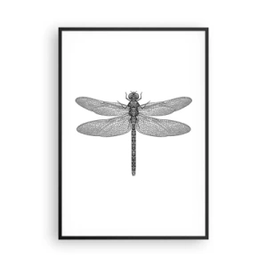 Plakat w czarnej ramie - Precyzja natury - 70x100 cm