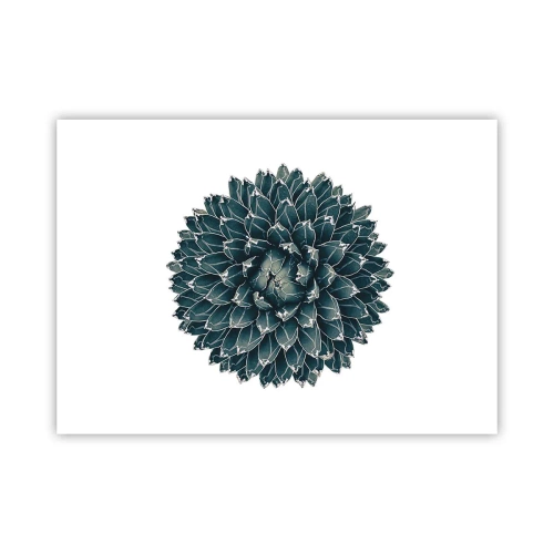 Plakat - Gwiazda pustyni - 70x50 cm
