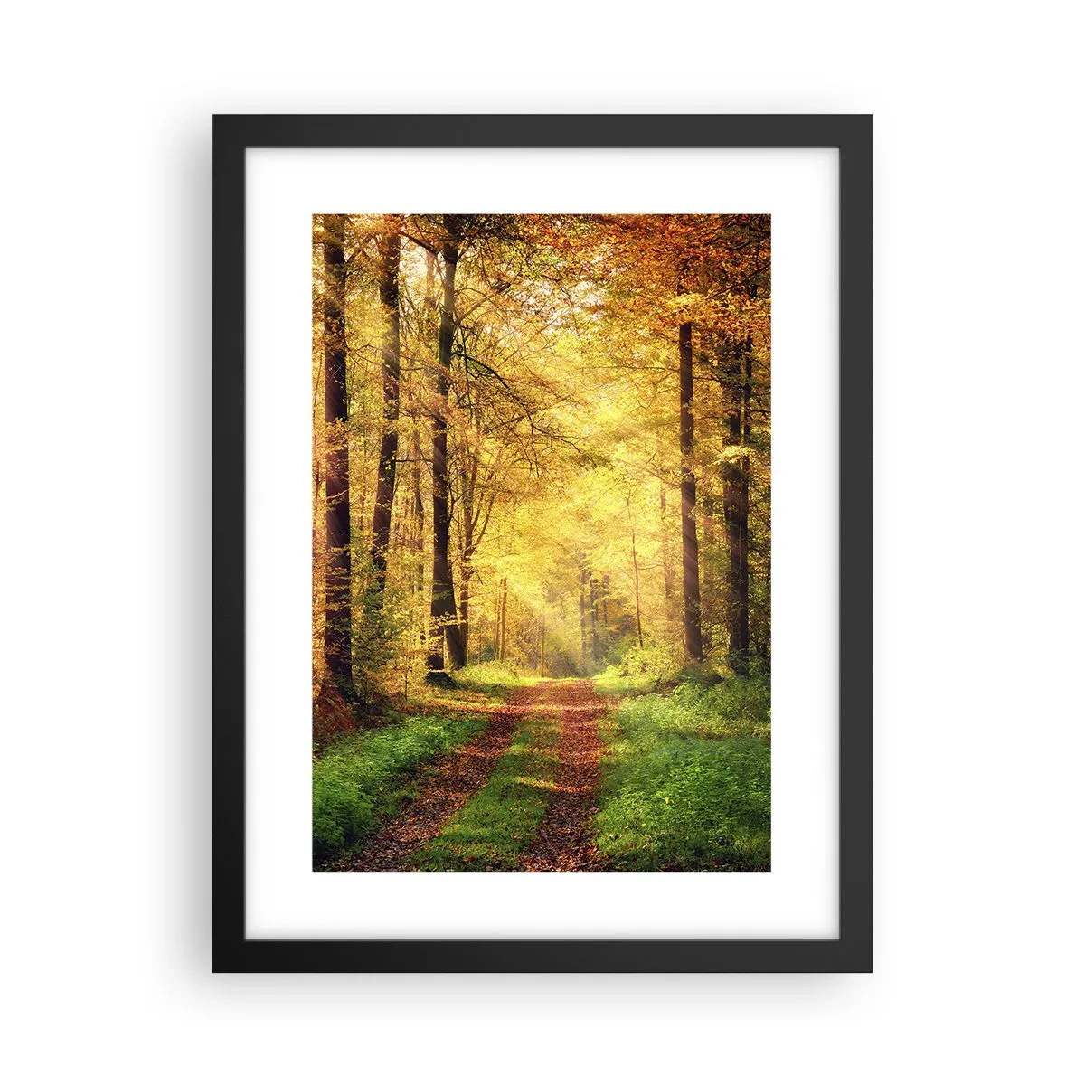 Plakat w czarnej ramie - Leśno-złota cisza - 30x40 cm
