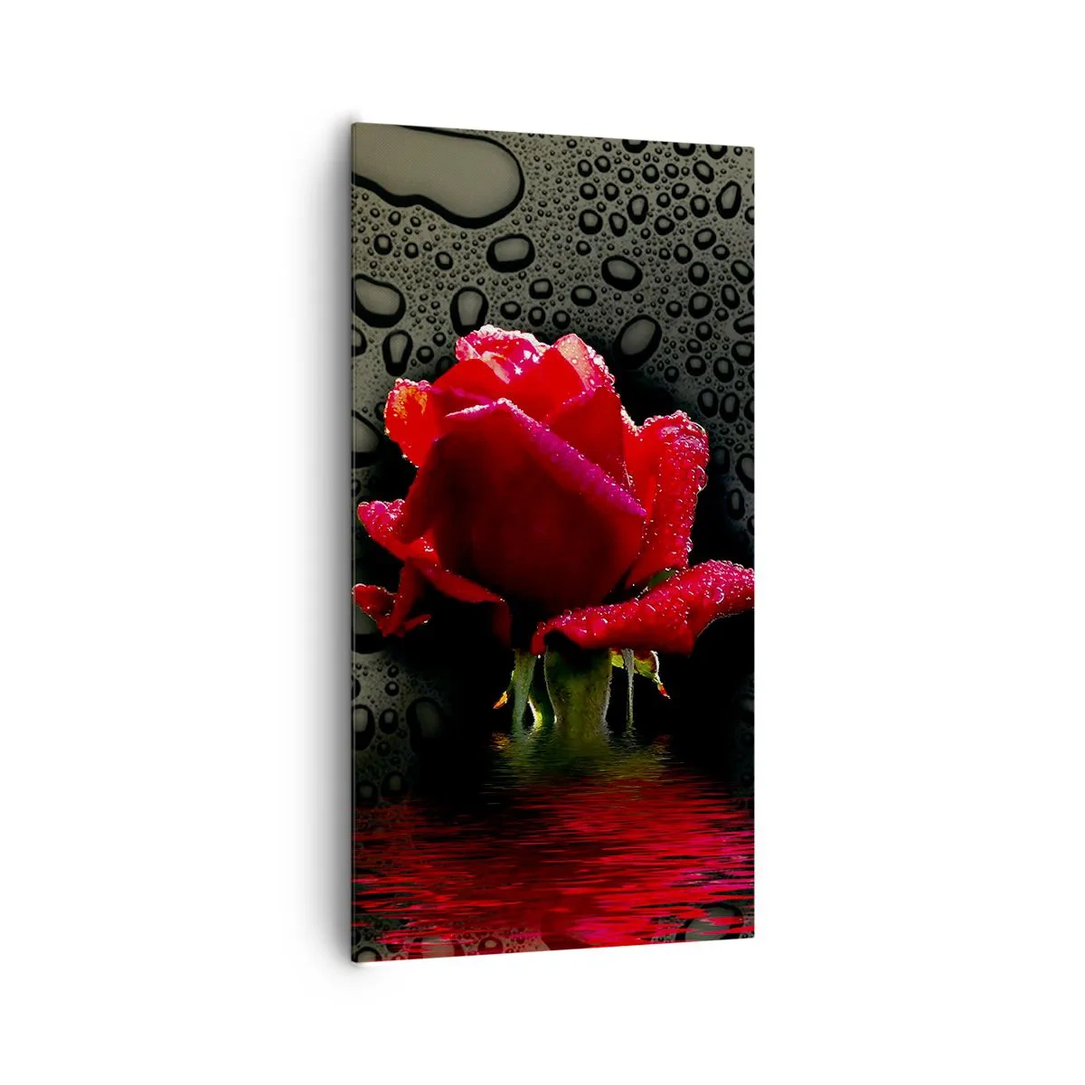 Obraz na płótnie - Czerwone i czarne - 65x120 cm