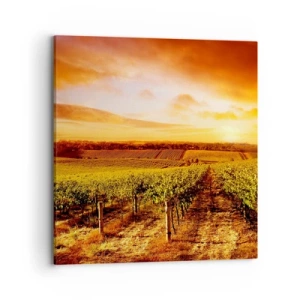 Obraz na płótnie - Delikatnie owocowe z nutą słońca - 70x70 cm