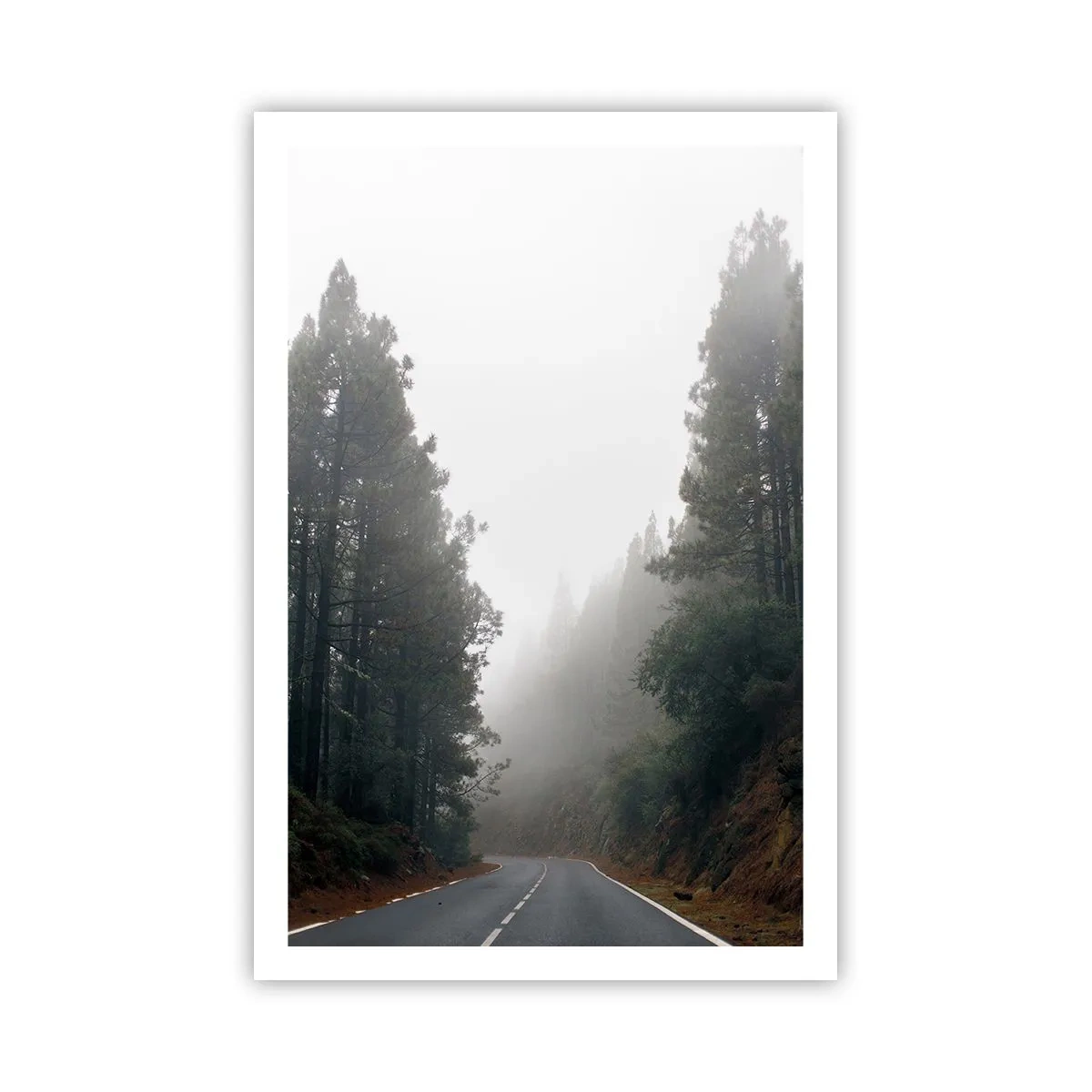 Plakat - Opowieść magicznego lasu - 61x91 cm