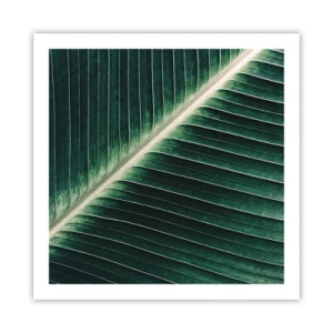 Plakat - Rytm natury - 60x60 cm