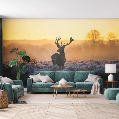 Fototapeta Premium Sand - Koronowany na swoich włościach - Krajobraz, Zwierzęta, Jeleń - 300x210 cm