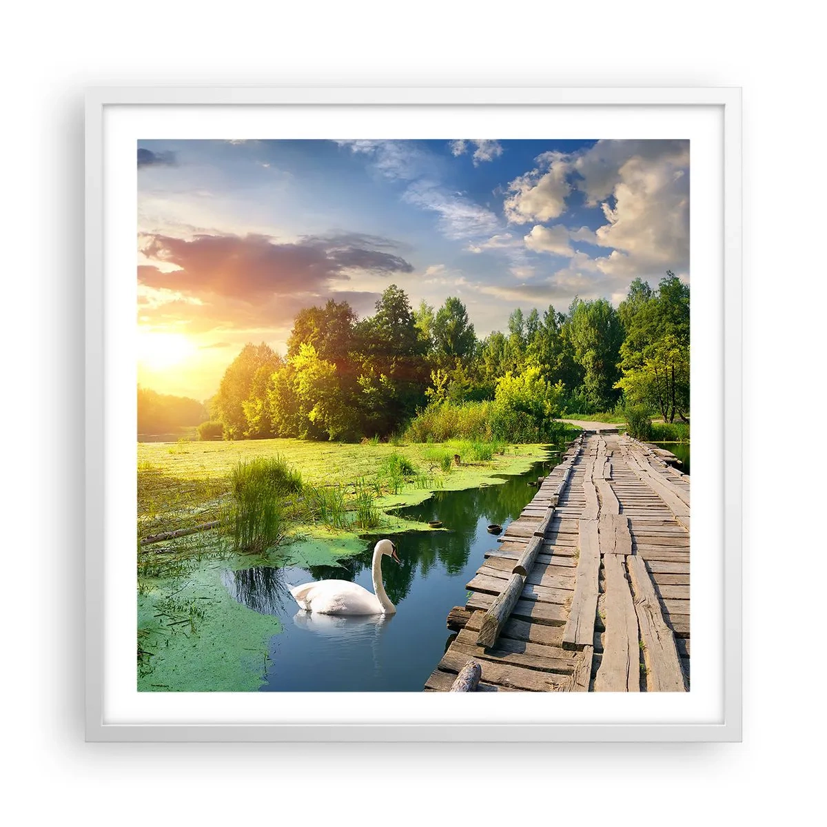 Plakat w białej ramie - Lato, lato wszędzie - 60x60 cm