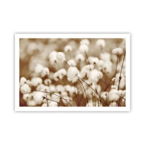 Plakat - Puszysty łan - 91x61 cm