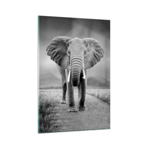 Obraz na szkle - Potężny słoń na sawannie w monochromatycznej tonacji - 80x120cm - Gospodarz wita - Nowoczesna dekoracja ścienna do salonu i sypialni ARTTOR