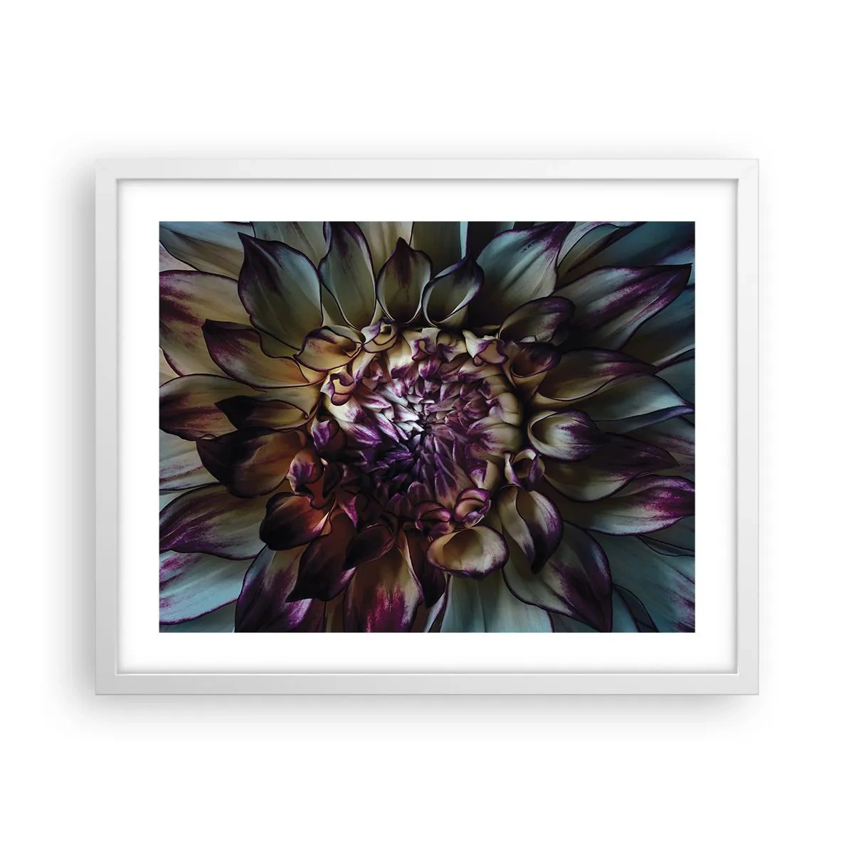 Plakat w białej ramie - Rozkwit młodości - 50x40 cm