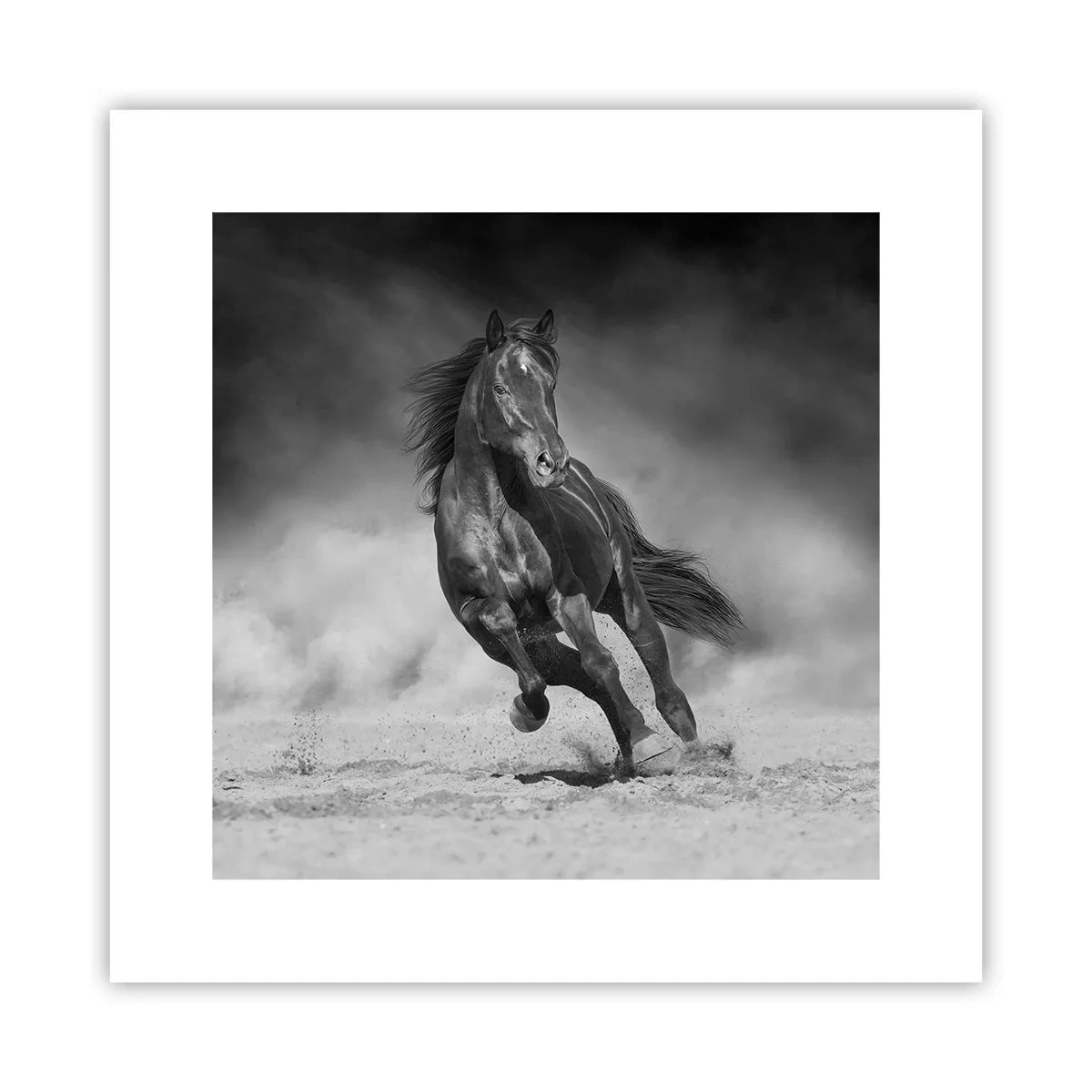 Plakat - Godny samego emira - 30x30 cm