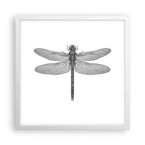 Plakat w białej ramie - Precyzja natury - 40x40 cm