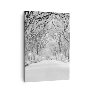 Obraz na płótnie - Zimowy park z ośnieżonymi drzewami i alejką - 50x70cm - Cztery pory roku – zima - Nowoczesna dekoracja ścienna do salonu, kuchni i sypialni ARTTOR