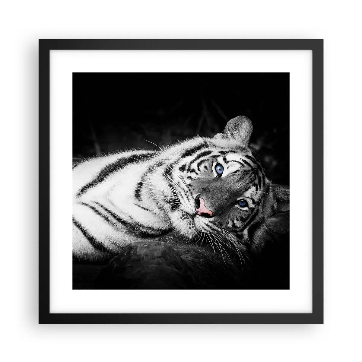 Plakat w czarnej ramie - Dzikość i spokój - 40x40 cm