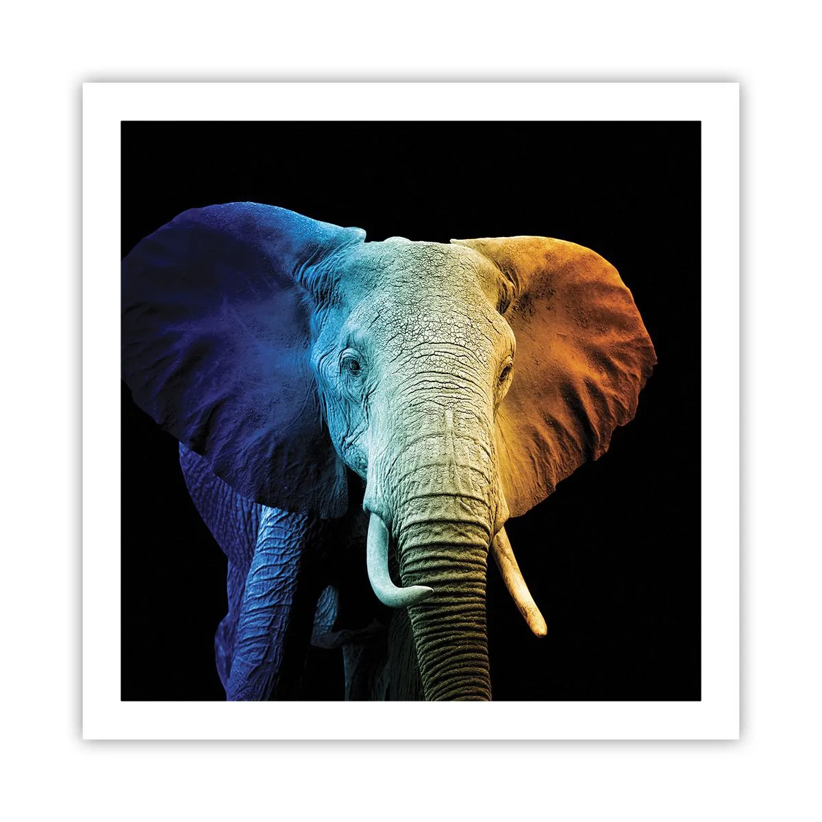 Plakat - Ekscentryk, nie dziwak - 60x60 cm