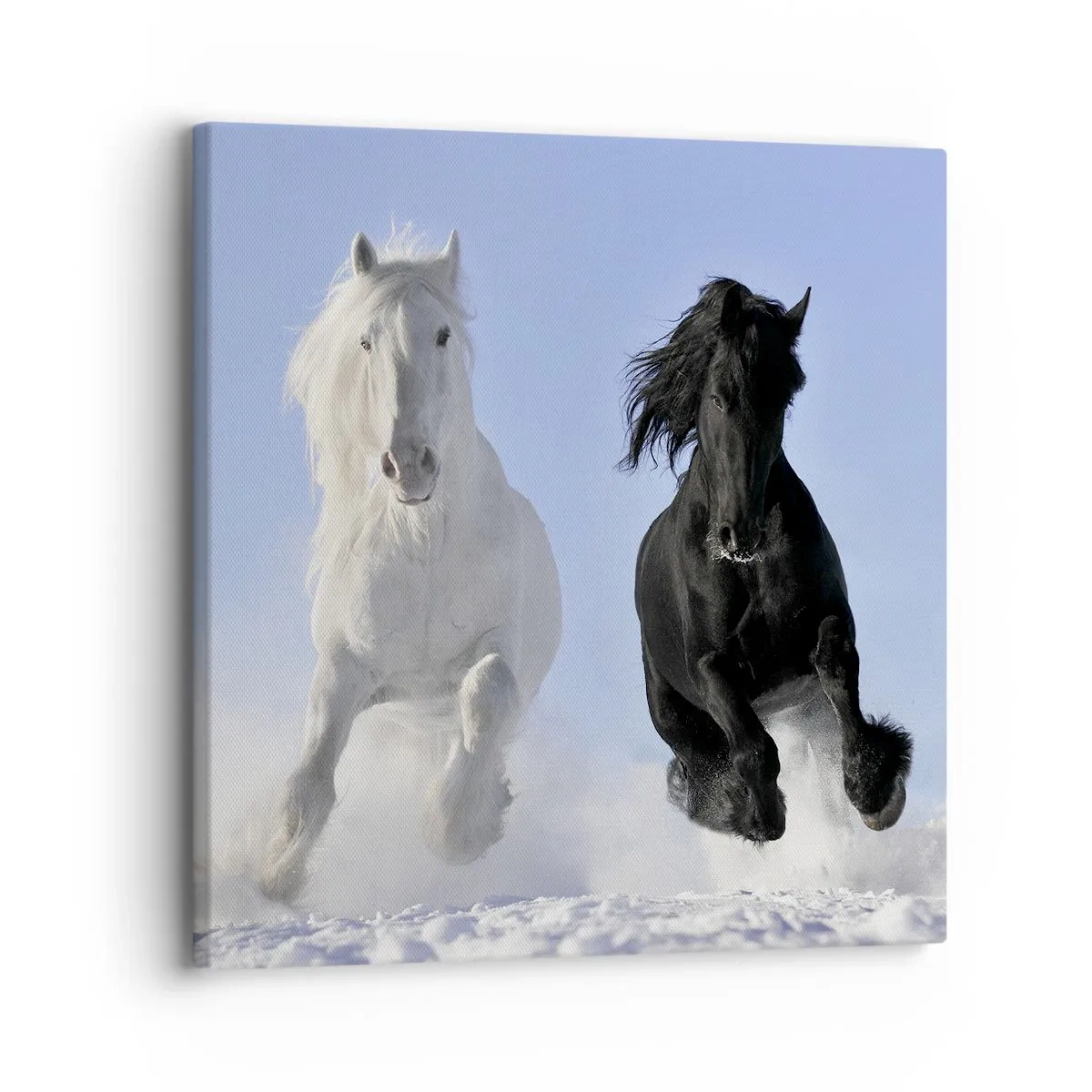 Obraz na płótnie - Czarno-biały galop - 30x30 cm